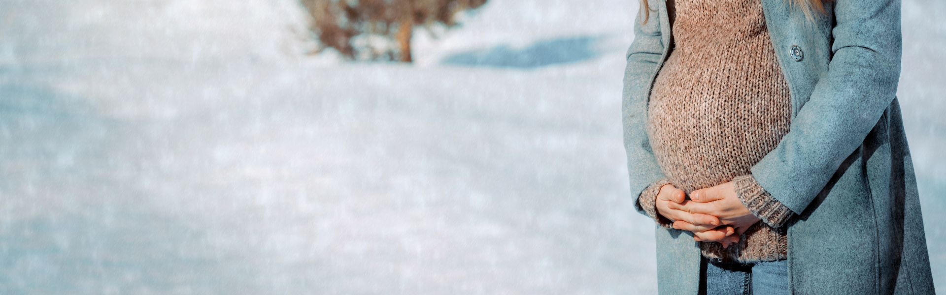 Steps to the Adoption Process