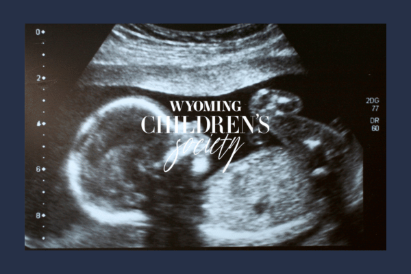 Giving a Baby Up for Adoption in Wyoming