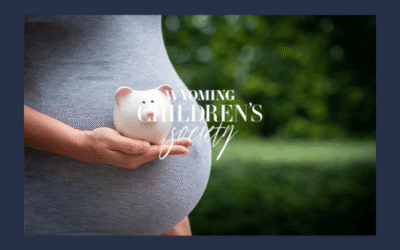Is Adoption Free? Understanding Financial Support for Birth Mothers in Wyoming
