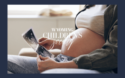 Adoption Help in Casper Wyoming